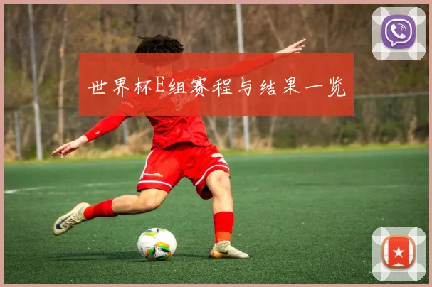 世界杯E组赛程与结果一览