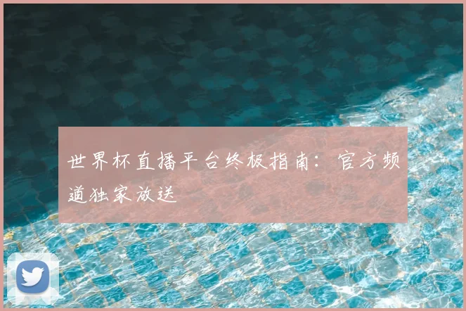 世界杯直播平台终极指南:官方频道独家放送