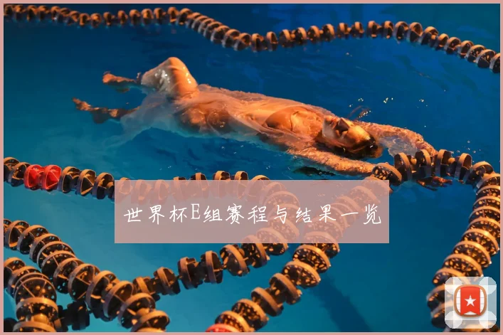 世界杯E组赛程与结果一览