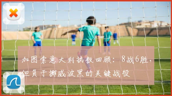加图索意大利执教回顾：8战6胜，但负于挪威波黑的关键战役